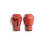 Economy Boxing Gloves