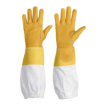 Honey Bee Gloves