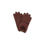 Dressing Gloves